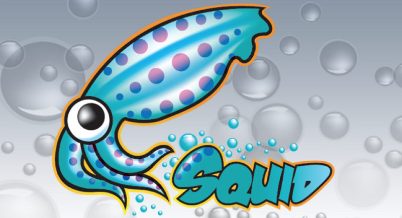 Настройка squid на ubuntu 14.04.5 с прозрачным прокси для работы с HTTP и HTTPS.